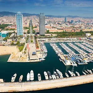 Swan , Barcelona Spain